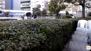 性感丝袜空姐原干惠⭕❌❌瑟妃黑色丝袜热舞视频